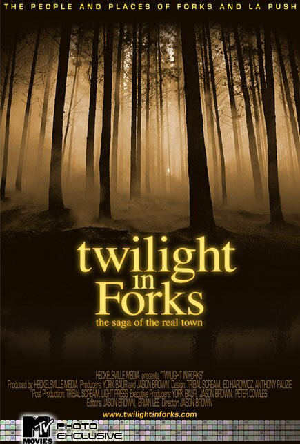 twilight in forks